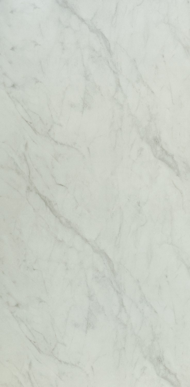 Formica Cora